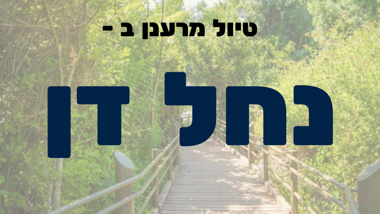 נחל דן לאתר.png