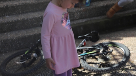 IMG_9963.JPG